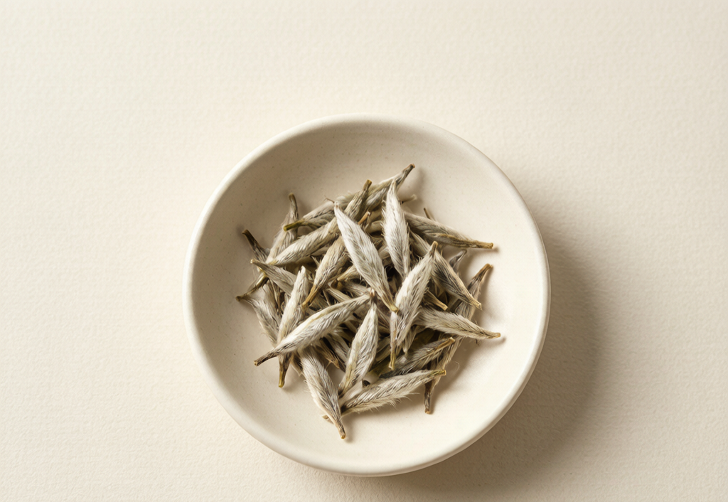 Chinese Silver Needle white tea buds covered in silvery down