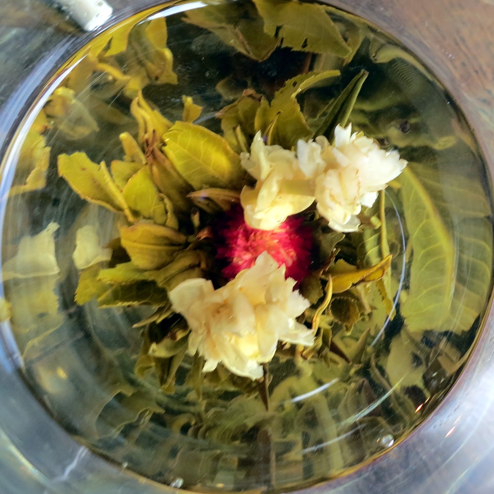 Jasmine tea opening in a clear glass
